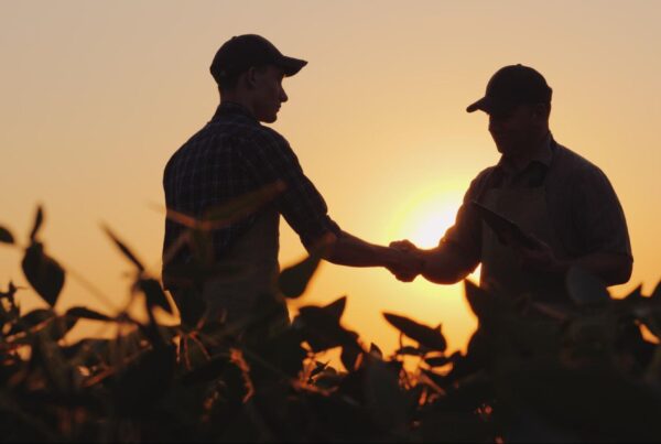 Two farmers shaking hands in a field at sunset, symbolizing a business agreement in agriculture.